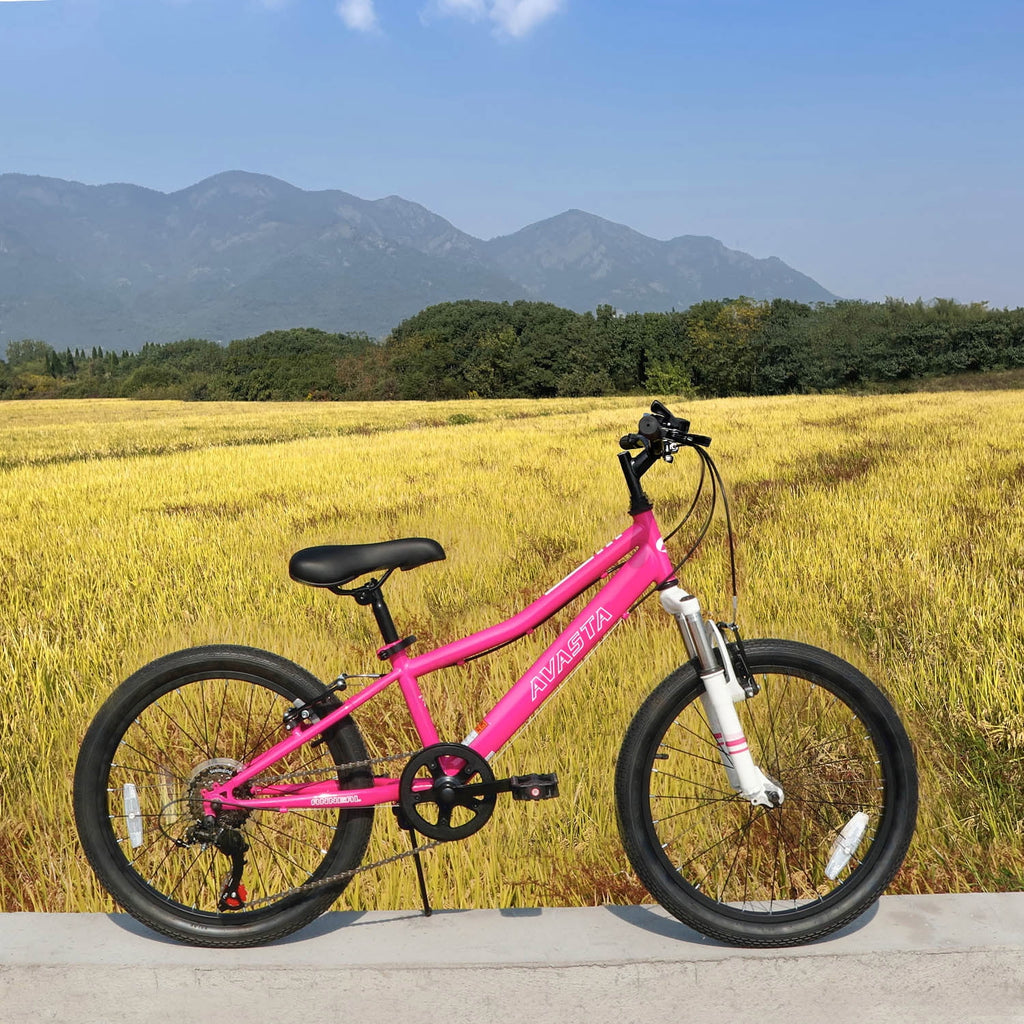 AVASTA 20'' Big Kids Mountain Bike for Age 6 7 8 9 10 11 12 Years Old Boys Girls Teen with Suspension Fork Front & Rear Dual Hand Brakes 6 Speeds Drivetrain, Green