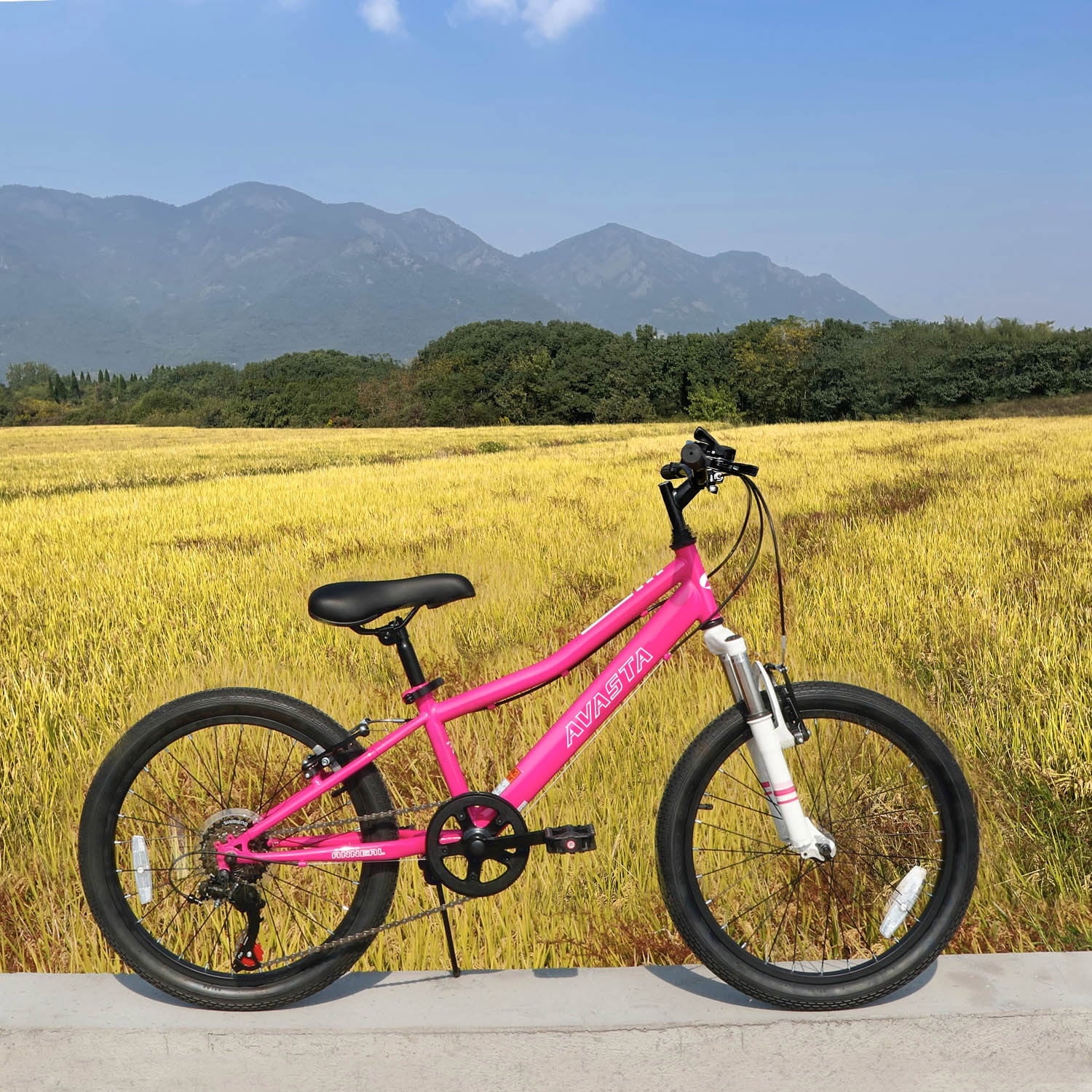 AVASTA 20'' Big Kids Mountain Bike for Age 6 7 8 9 10 11 12 Years Old Boys Girls Teen with Suspension Fork Front & Rear Dual Hand Brakes 6 Speeds Drivetrain, Green