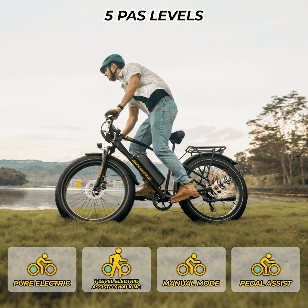 Skeri Electric Bike, 26x4.0 Fat Tire E Bike, 500W (Peak 1000) Motor, 48V 15.6Ah Removable Electric Bike for Adults, 60 Miles & 25 mph, Electric Bicycle with 7 Speed and Front Suspension