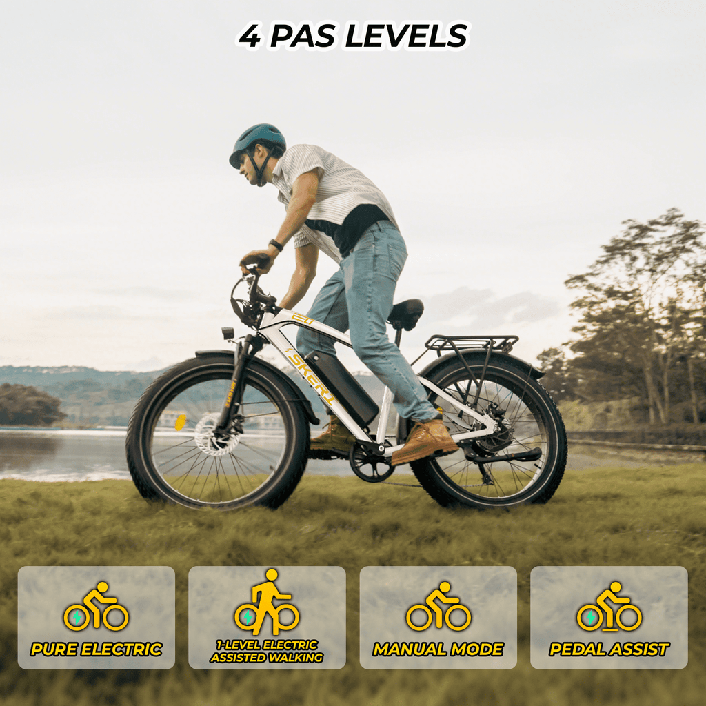 Skeri Electric Bike, 26x4.0 Fat Tire E Bike, 500W (Peak 1000) Motor, 48V 15.6Ah Removable Electric Bike for Adults, 60 Miles & 25 mph, Electric Bicycle with 7 Speed and Front Suspension