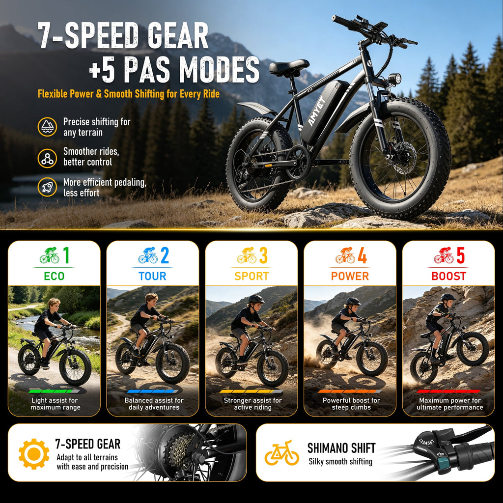 AMYET 1000W Electric Bike, 20 Fat Tire Ebike 28MPH 48V 15Ah E-Mountain Bicycles UL2849 Black