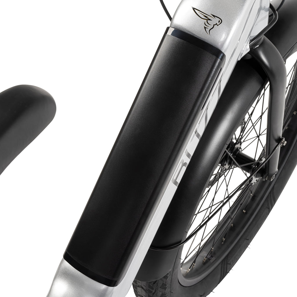 Buzz 24 Beekeeper 48V Electric Cargo Bike, Fits Riders 60+, Silver, Adult, Unisex