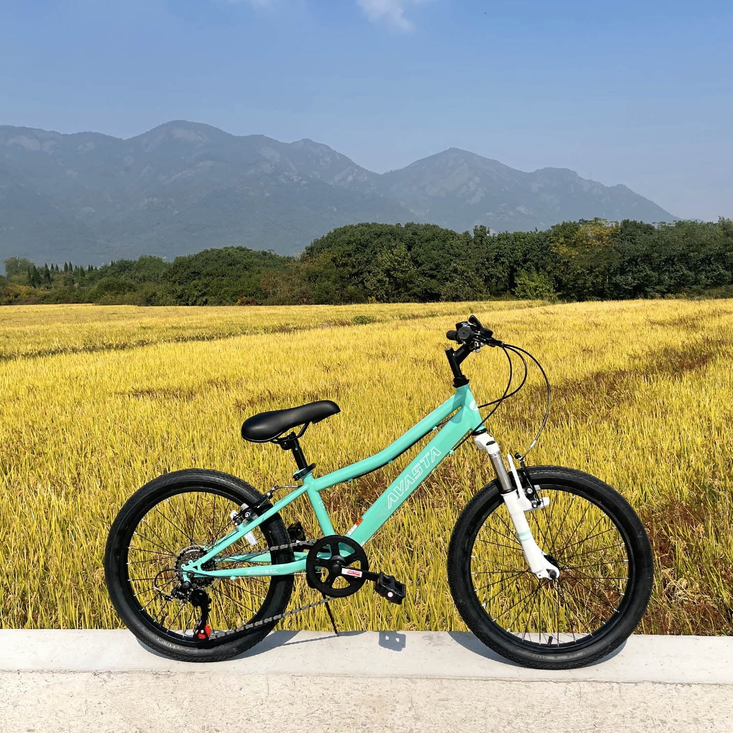 AVASTA 20'' Big Kids Mountain Bike for Age 6 7 8 9 10 11 12 Years Old Boys Girls Teen with Suspension Fork Front & Rear Dual Hand Brakes 6 Speeds Drivetrain, Green
