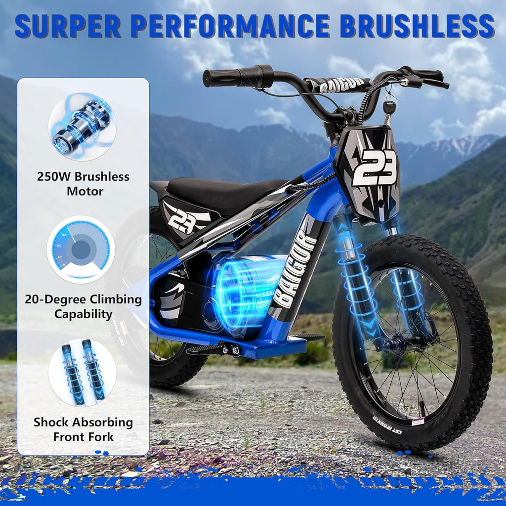 NEORIVER Electric Dirt Bike for Kids Ages 6-12, 250W Electric Motorcycle Up to 15.5MPH, 24V Detachable Battery, 16'' Inflatable Tire Electric Balance Bike with Kickstand