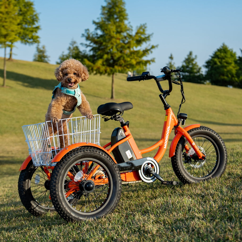 MOONCOOL Electric Tricycle for Kids ,16x3 3 Wheel 250W 10.4Ah Etrike W/ LED headlight & Rear Basket & horn bell & DIY stickers，6/9/12.5 MPH