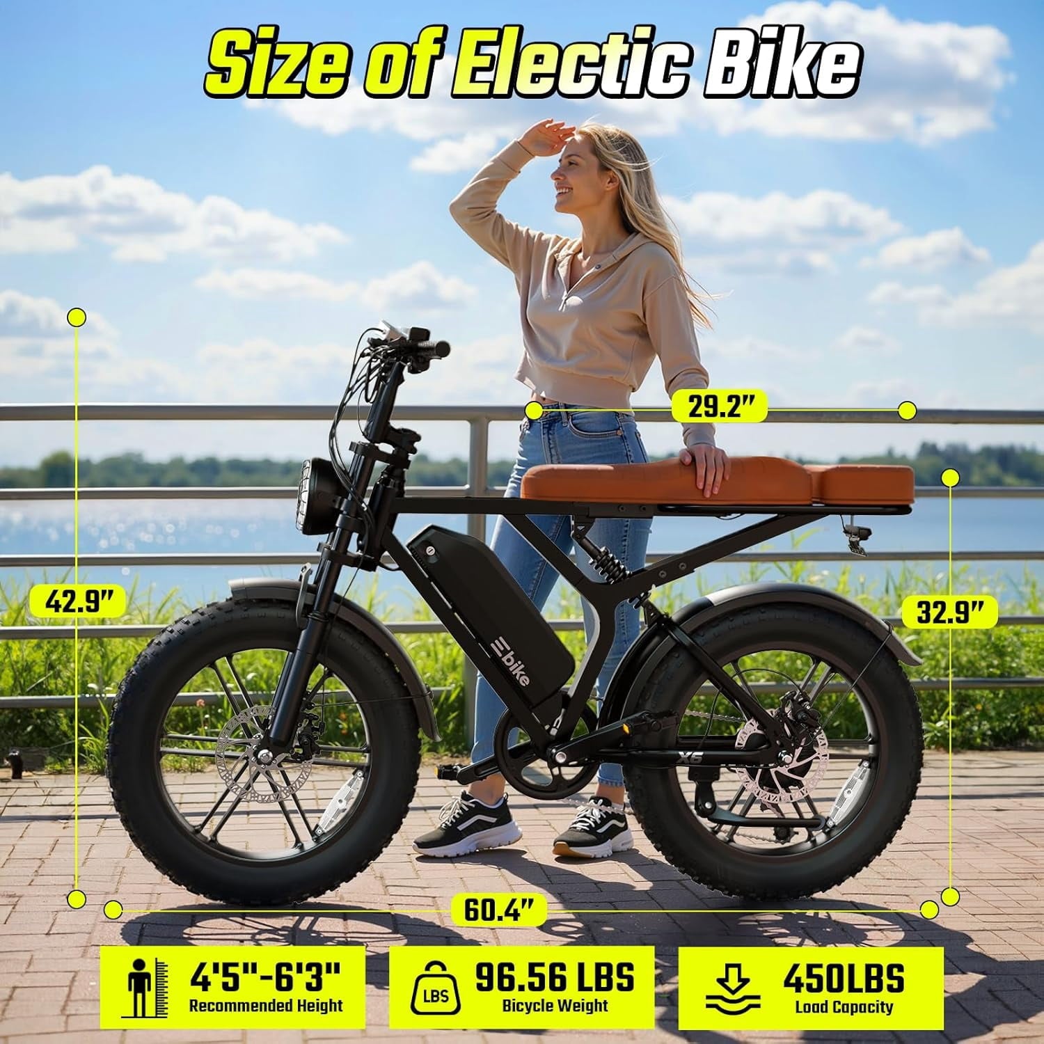 TST Electric Bike for Adults, 48V/15AH Battery, 20x4 Fat Tire, 750W Motor Off-Road E Biker, UL2849