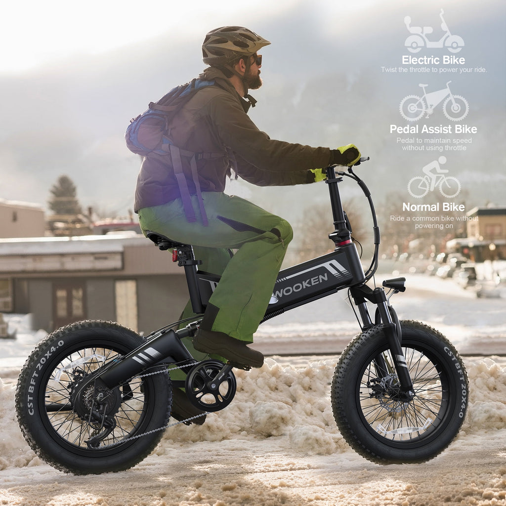 Wooken 20X4.0 Fat Tire Electric Bike for Adults, 500W Foldable Electric Bicycle with 48V 10Ah Built-in Battery, Shimano 7 Speed, Dual Shock Absorber