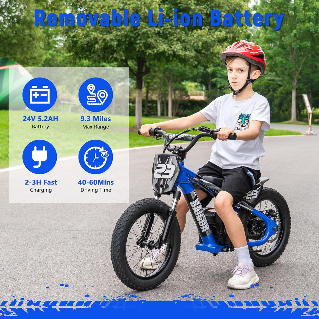 NEORIVER Electric Dirt Bike for Kids Ages 6-12, 250W Electric Motorcycle Up to 15.5MPH, 24V Detachable Battery, 16'' Inflatable Tire Electric Balance Bike with Kickstand