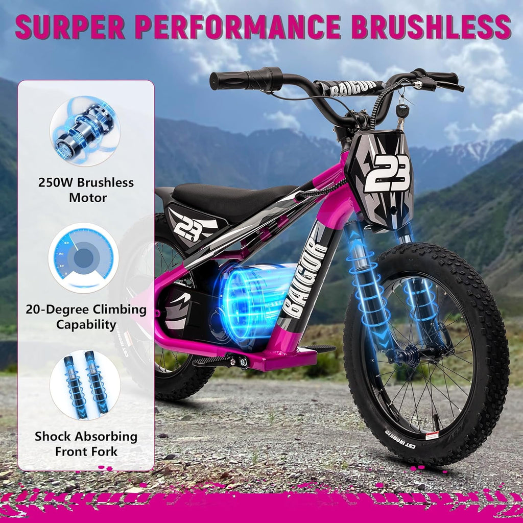 NEORIVER Electric Dirt Bike for Kids Ages 6-12, 250W Electric Motorcycle Up to 15.5MPH, 24V Detachable Battery, 16'' Inflatable Tire Electric Balance Bike with Kickstand